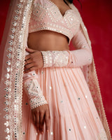 Blush Pink Diamond Lehenga with Embroidered Dupatta