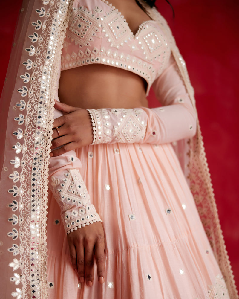 Blush Pink Diamond Lehenga with Embroidered Dupatta