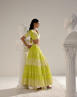 Neon Green Ambi Lehenga with Embroidered Dupatta