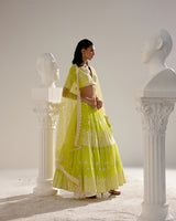 Neon Green Ambi Lehenga with Embroidered Dupatta