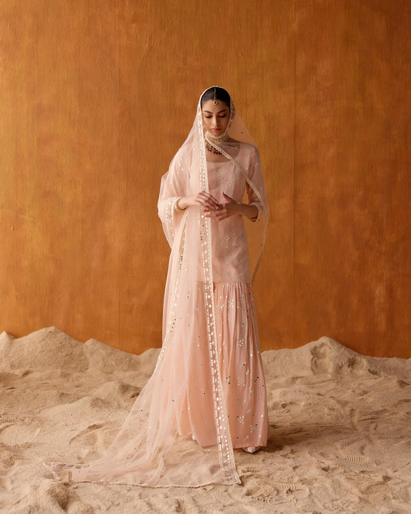 Blush Pink SK-BK all-over Embroidered Straight Sharara with Dupatta