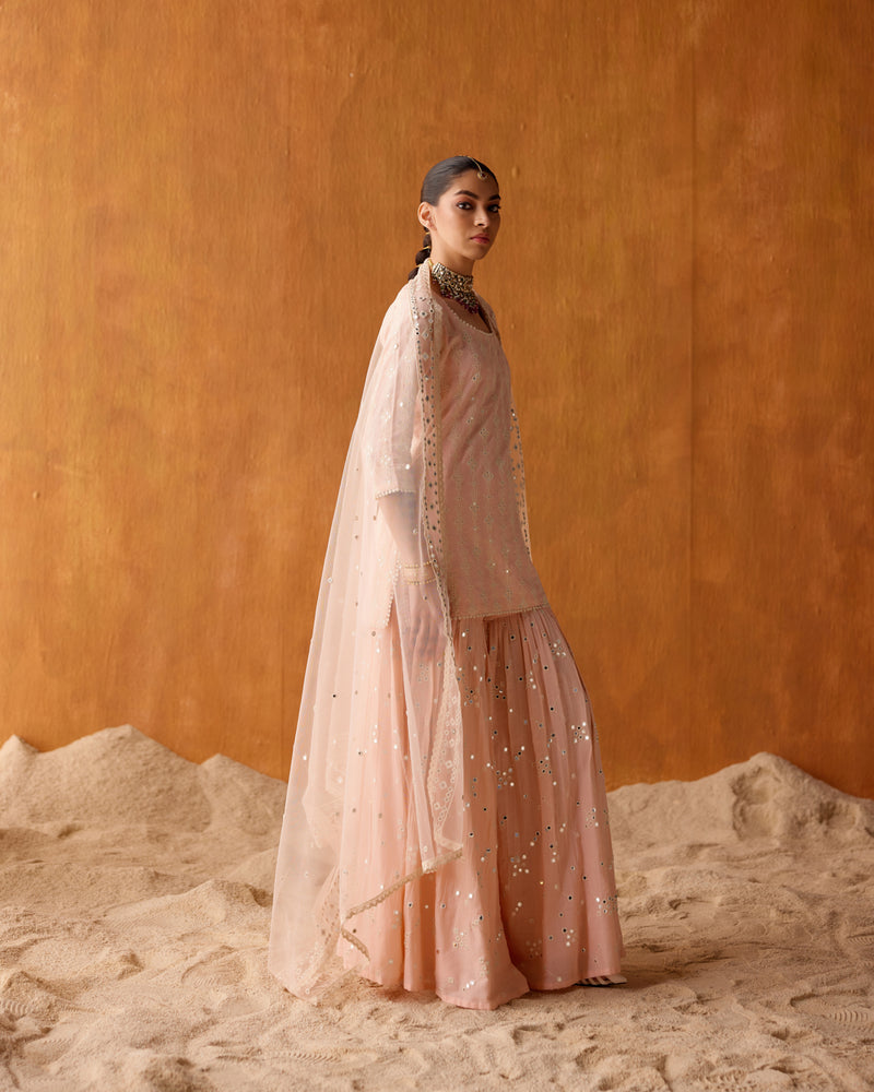 Blush Pink SK-BK all-over Embroidered Straight Sharara with Dupatta