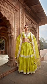 Neon Green Triangle Lehenga with Embroidered Dupatta